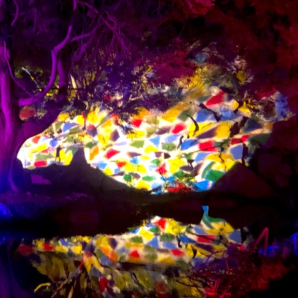 Meet your Posher, Amanda - Picture 1 of 1